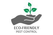 Eco-Friendly Eco-Friendly