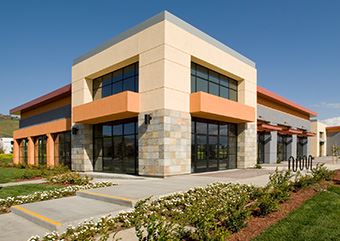 Commercial Pest Control